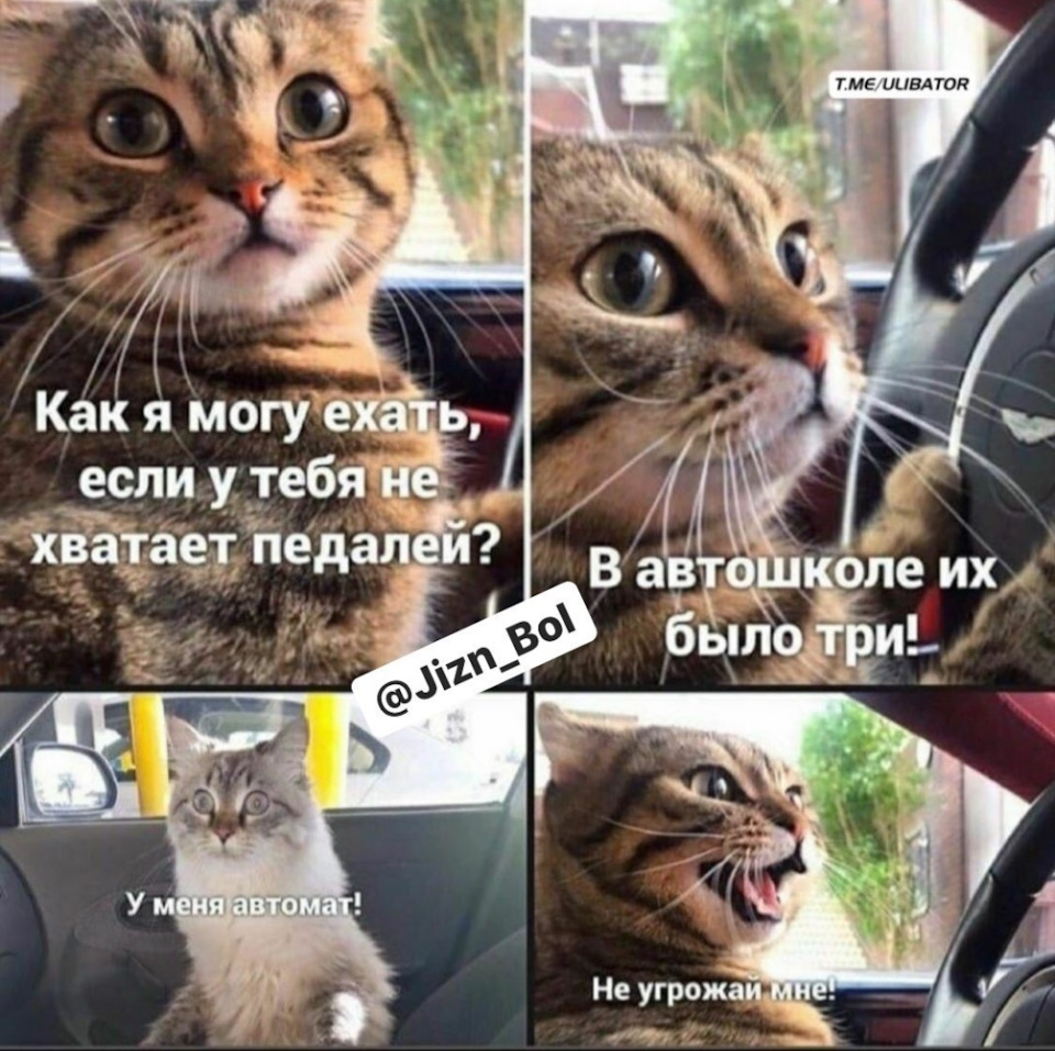 Фисташки давно не ел": 7 финансовых ситуаций, без которых не было бы этих мемов