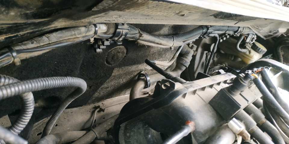 Шумка моторного отсека — Citroen Berlingo (1G), 1,4 л, 2007 года ...