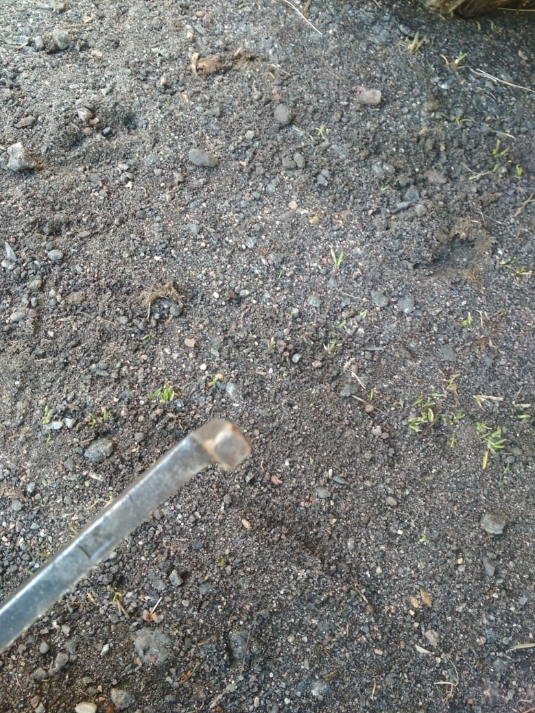 Фото в бортжурнале УАЗ 469