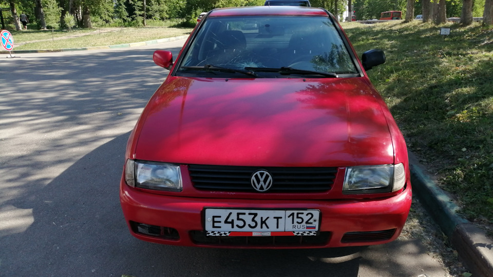 red polo classic