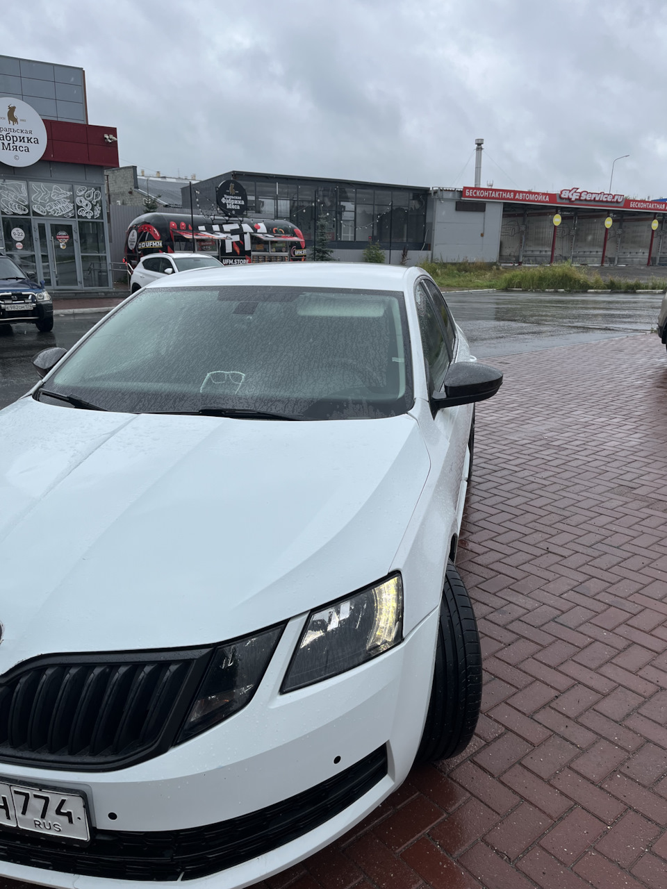 Фото в бортжурнале Skoda Octavia A7 Mk3