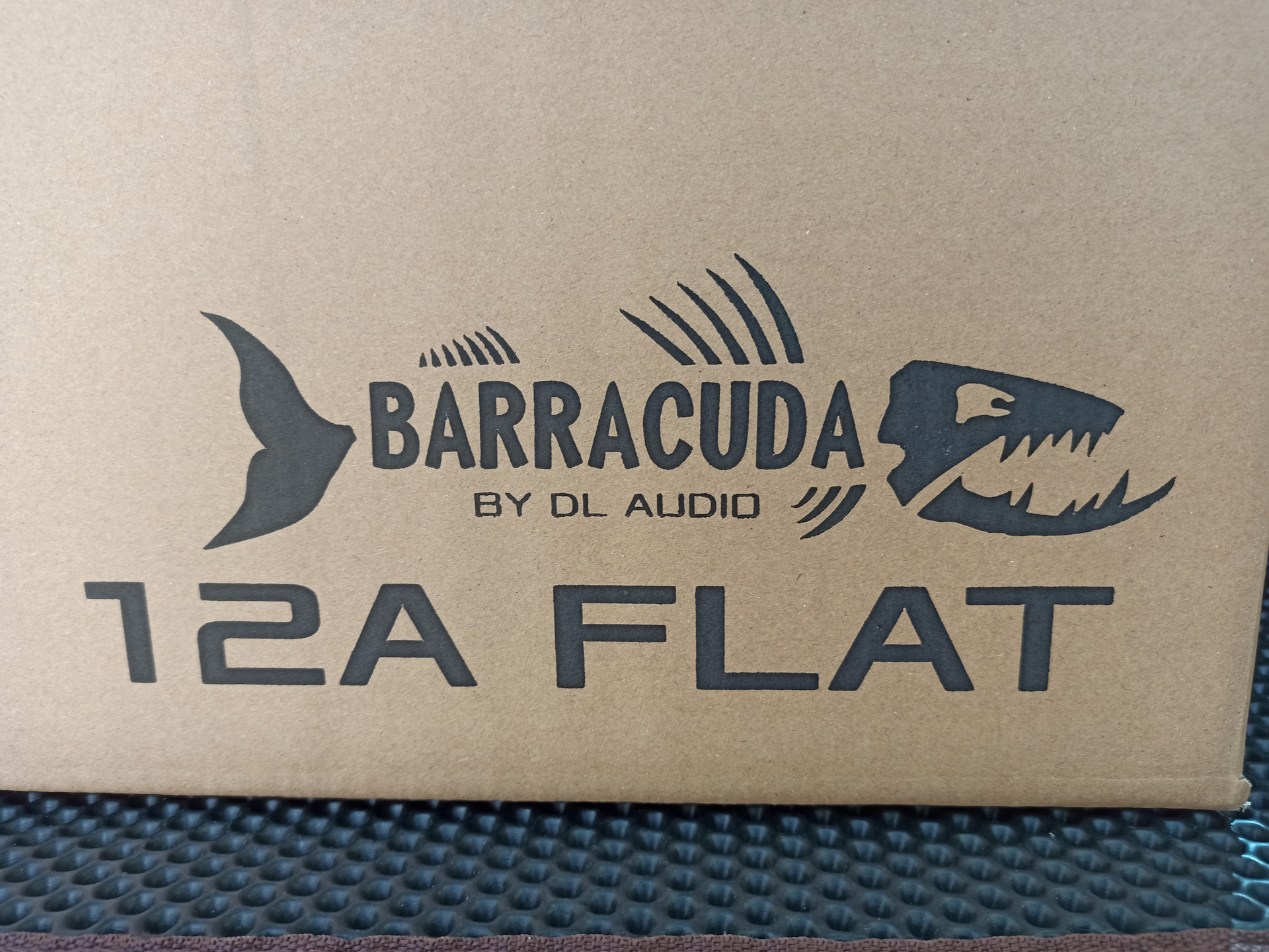 Barracuda 10 flat