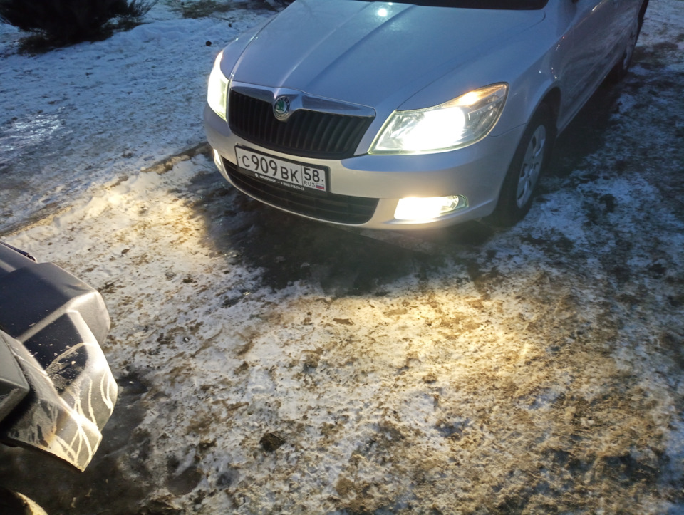 51. Led-лампы — Skoda Octavia A5 Mk2, 1,6 л, 2012 года | электроника ...