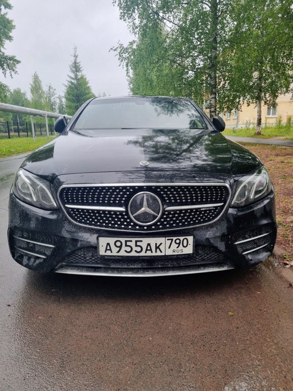 Номера без флага — Mercedes-Benz E-class (W213), 2 л, 2019 года |  аксессуары | DRIVE2