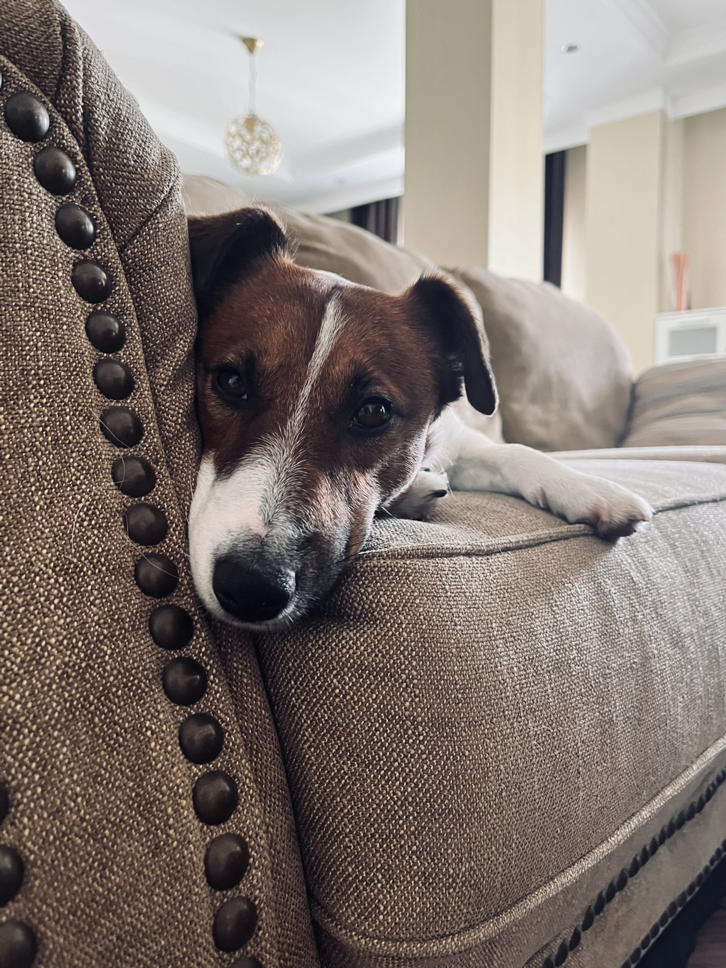 Зима близко: АКБ, шиномонтаж — Audi Q3 (1G), 2 л, 2012 года ...