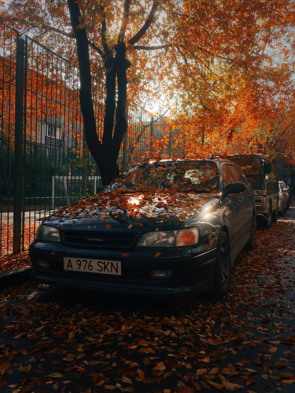 Мы вернулись! — Toyota Caldina (190), 2 л, 1995 года | фотография | DRIVE2