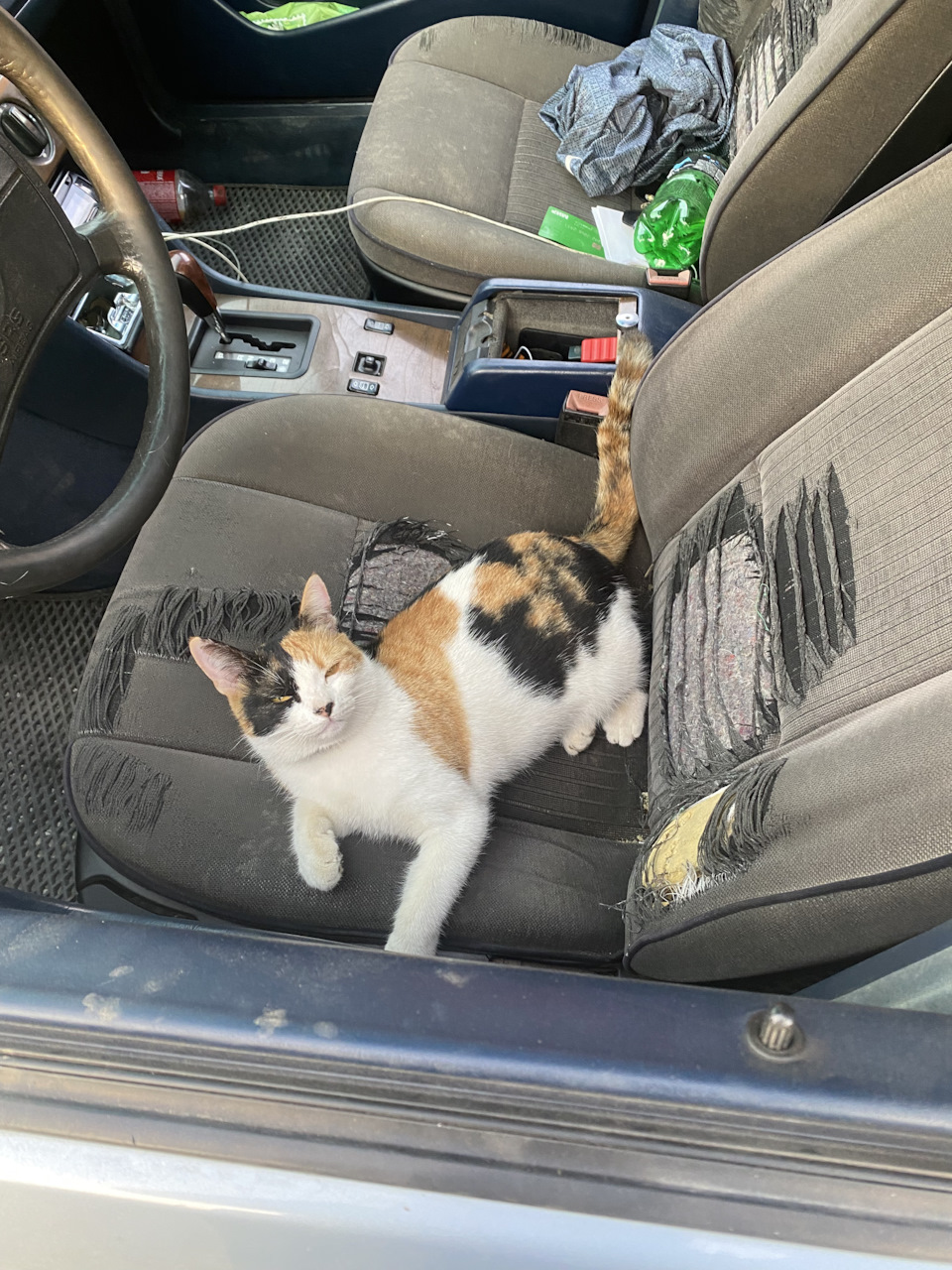 ик обогреватель frico cir10521. 124 03. тобирама сенджу арт. 124 03. Rq105s.