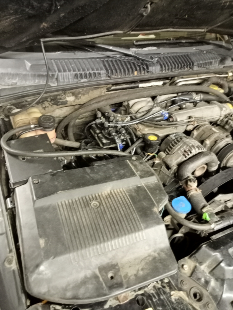 Фото в бортжурнале Land Rover Range Rover (2G)