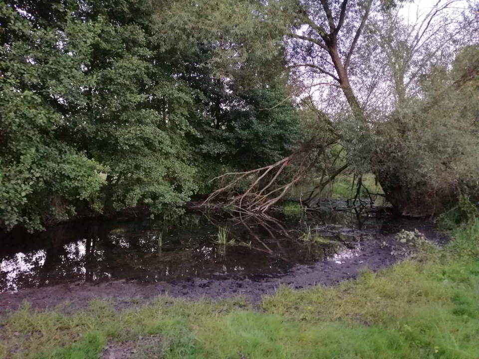 Фото в бортжурнале Москвич 2141
