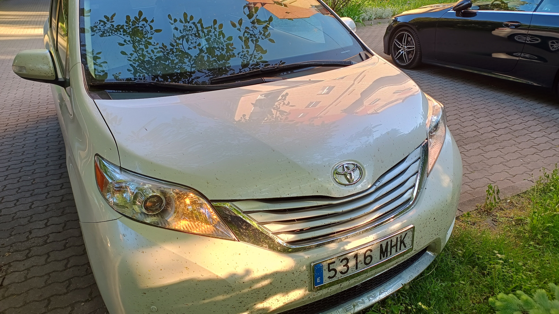 Toyota Sienna (3G) 3.5 бензиновый 2014 | LimitedAWD Белый пароход на DRIVE2