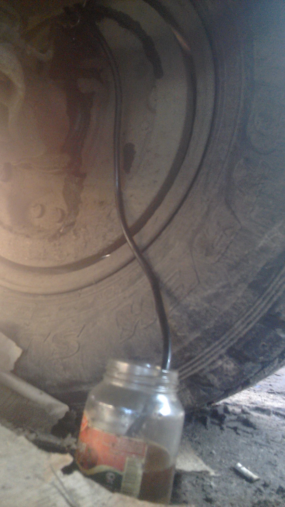 Фото в бортжурнале Great Wall Deer