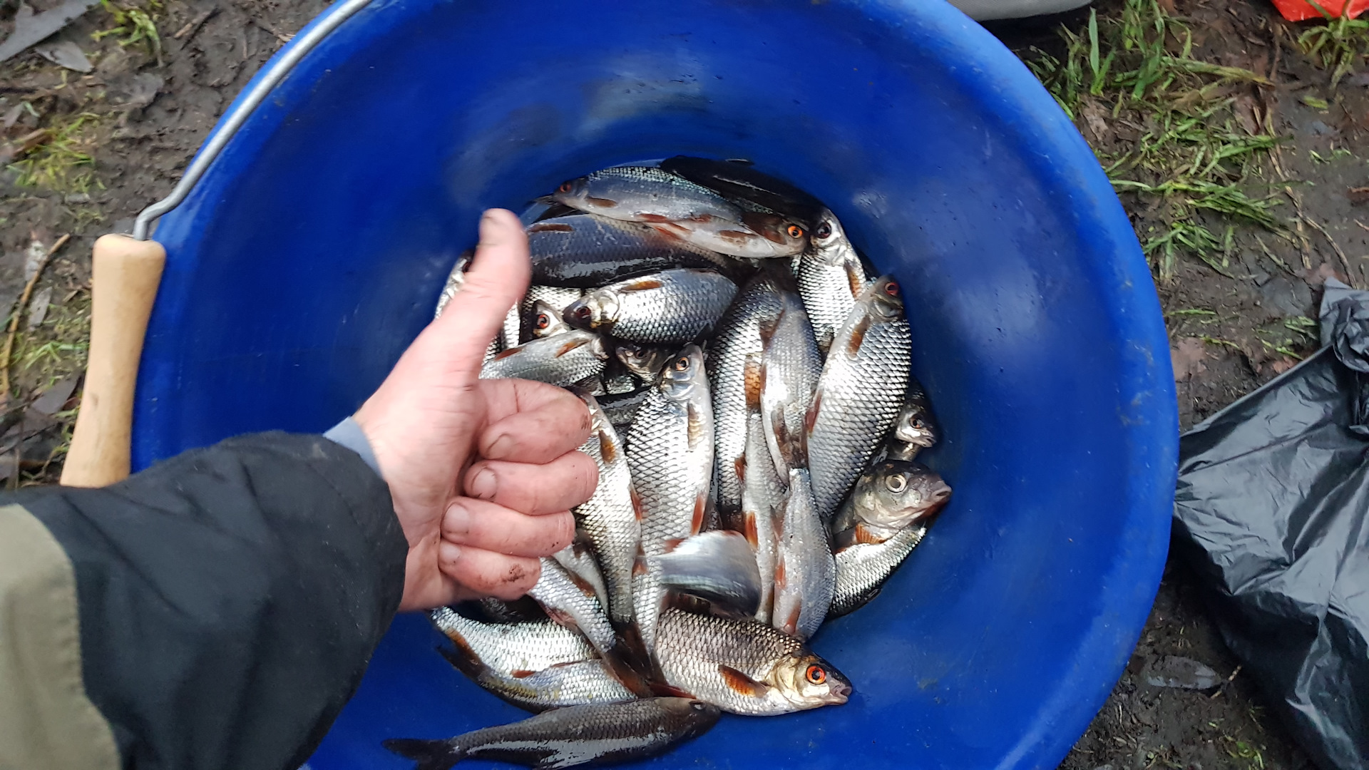 вопрос рыболовам. ведро с рыбой. рыбак прикол. рыбалка. лодка для рыбалки.