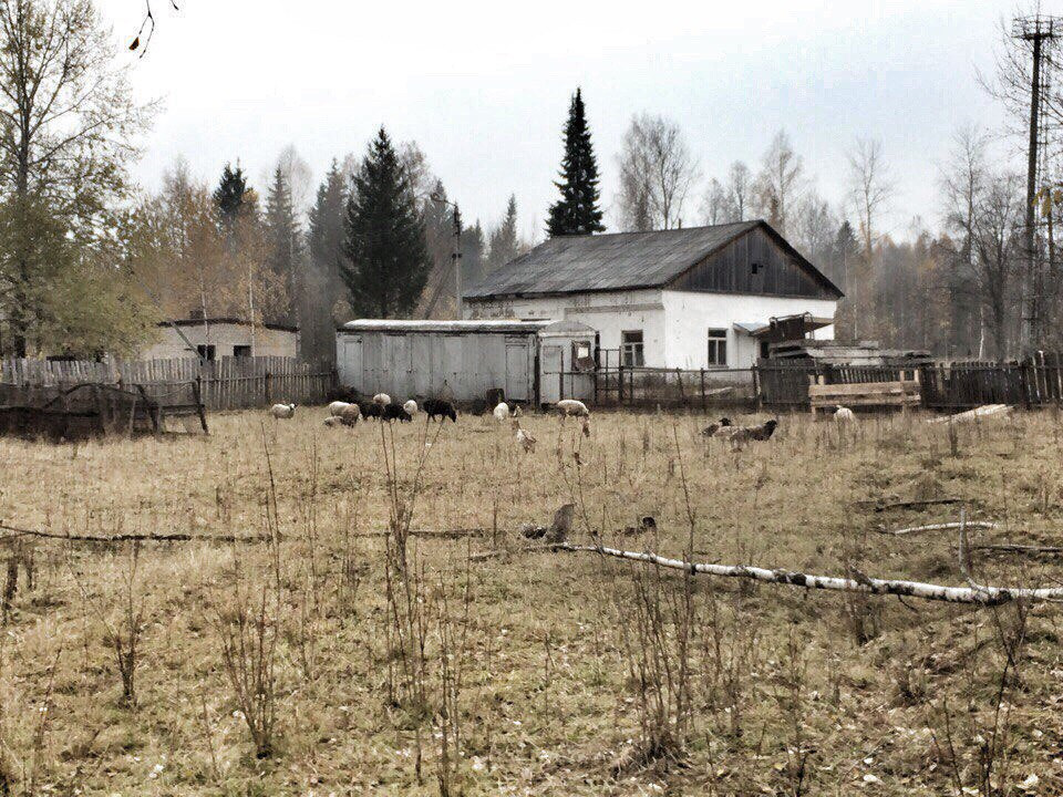 Кп военное ревю