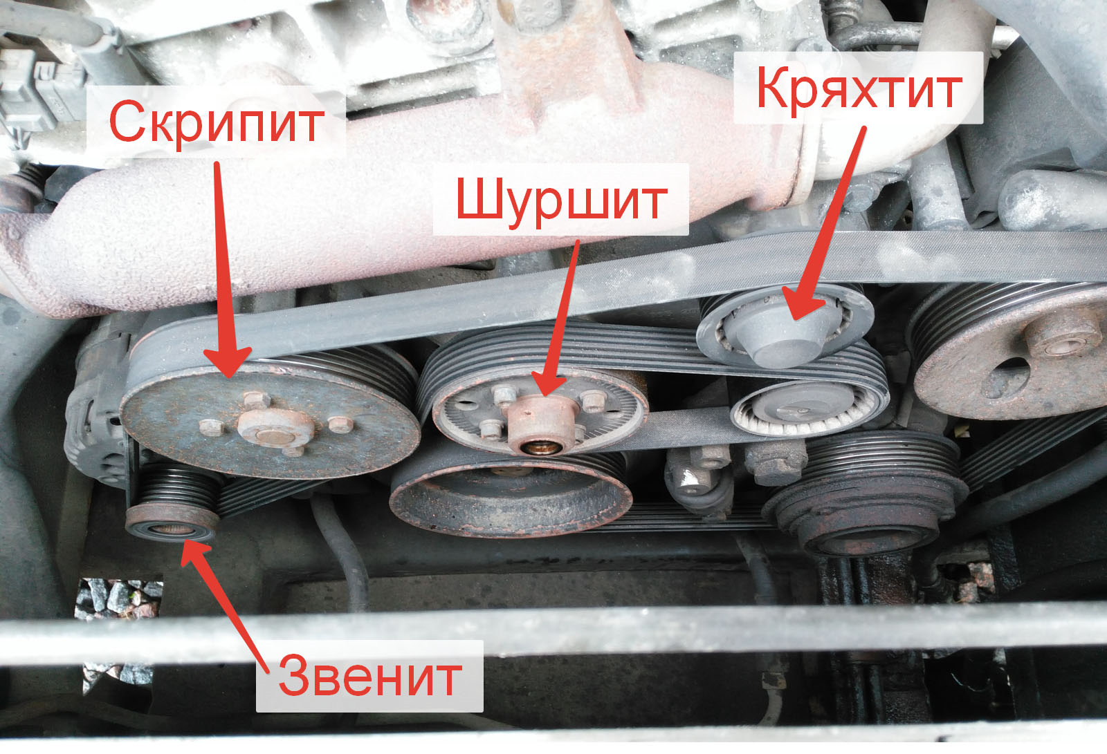 приводной ремень кайрон дизель схема