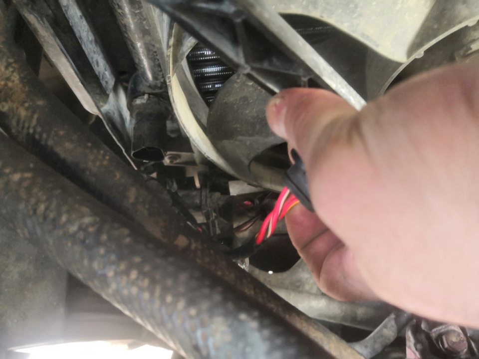 Фото в бортжурнале Skoda Octavia A4 Mk1