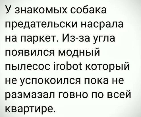 Собака предательски нагадила на паркет а робот пылесос