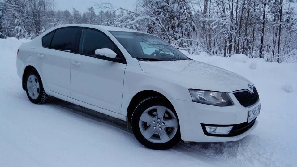 Skoda Octavia a7 зима