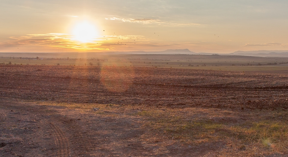 Поле. — Сообщество «Фотография» на DRIVE2