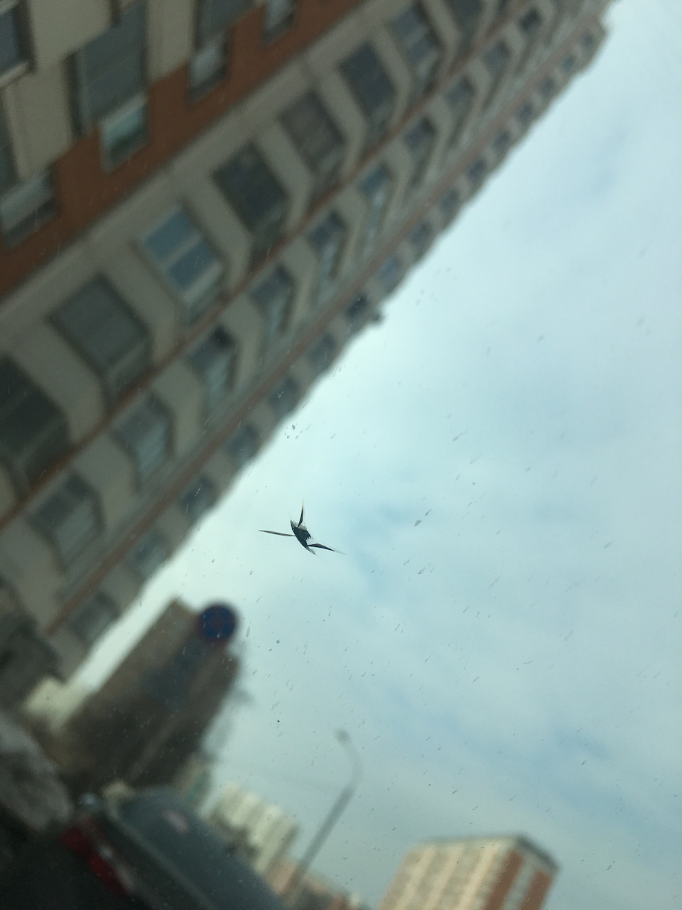 Прилетел камень в лобовое — KIA Cerato (3G), 2 л., 2017 года | кузовной ...