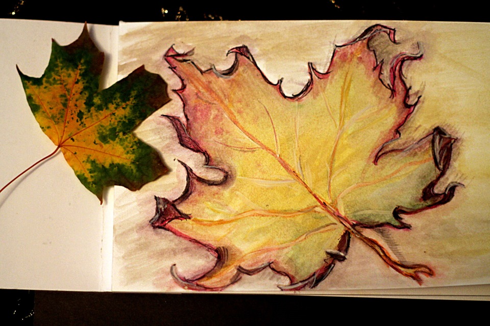 Книга и осенние листья. Осеняющая мысль 5 букв. Осеняющая мысль 5 букв. Радость жизни. Стихи миллер про осень.