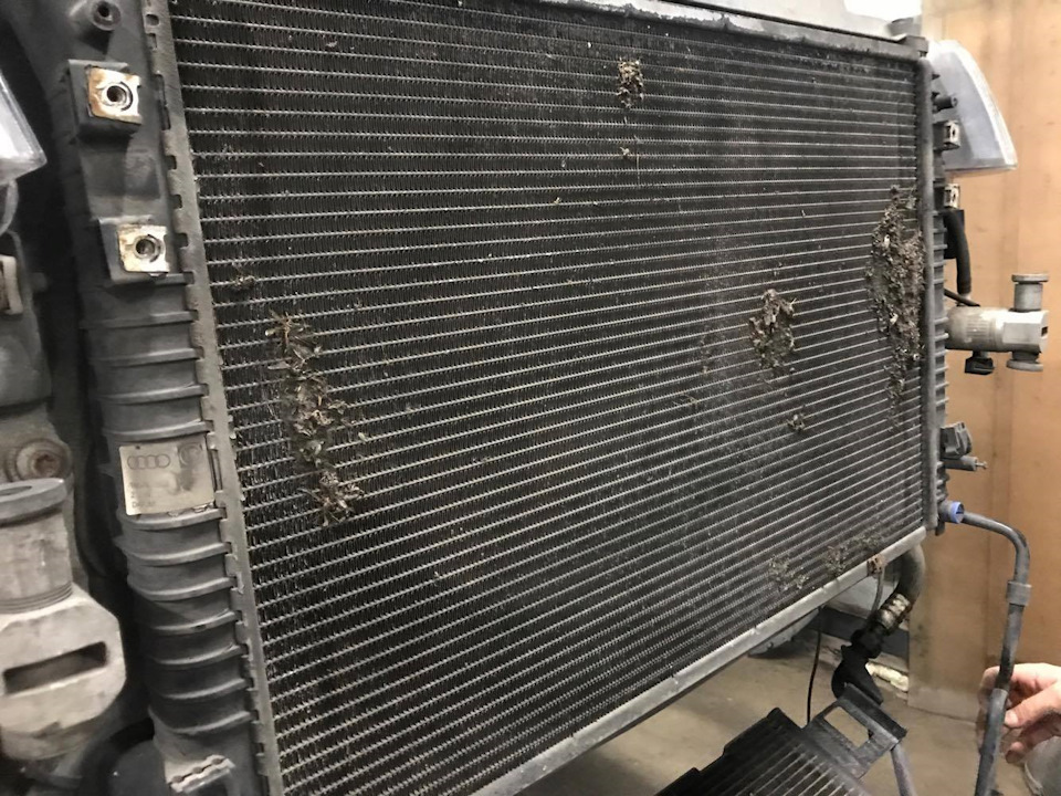 Да нифига оно не по плану — Audi A6 (C5), 4,2 л, 2000 года | плановое ...