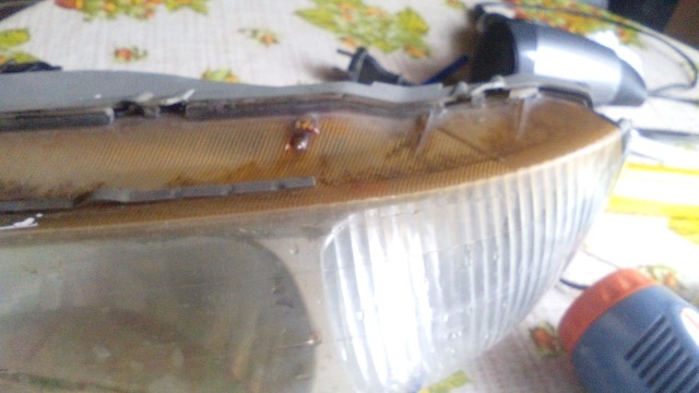 Фары пожелтели — Hyundai Accent (2G), 1,5 л, 2002 года | кузовной ...