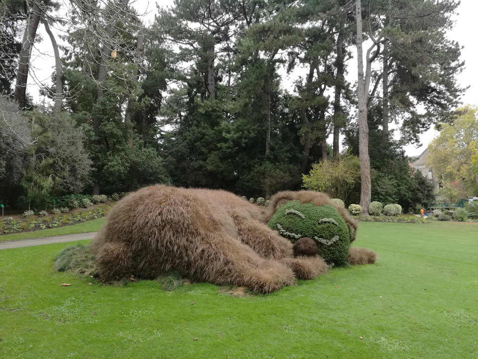 Кот-мститель :) — Audi A4 (B9)