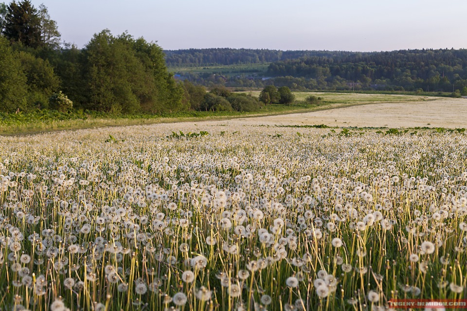 Поле весной картинки. Поля Литвы. Природа весны с поля тракторами. Тамбовские поля весной. Шедок поля весной.