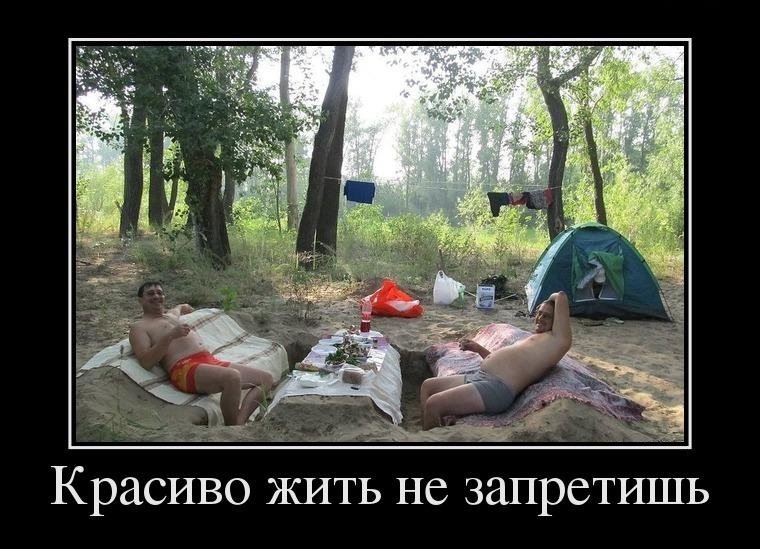 Смешние картинки — Сообщество «Позитивов☺зы» на DRIVE2