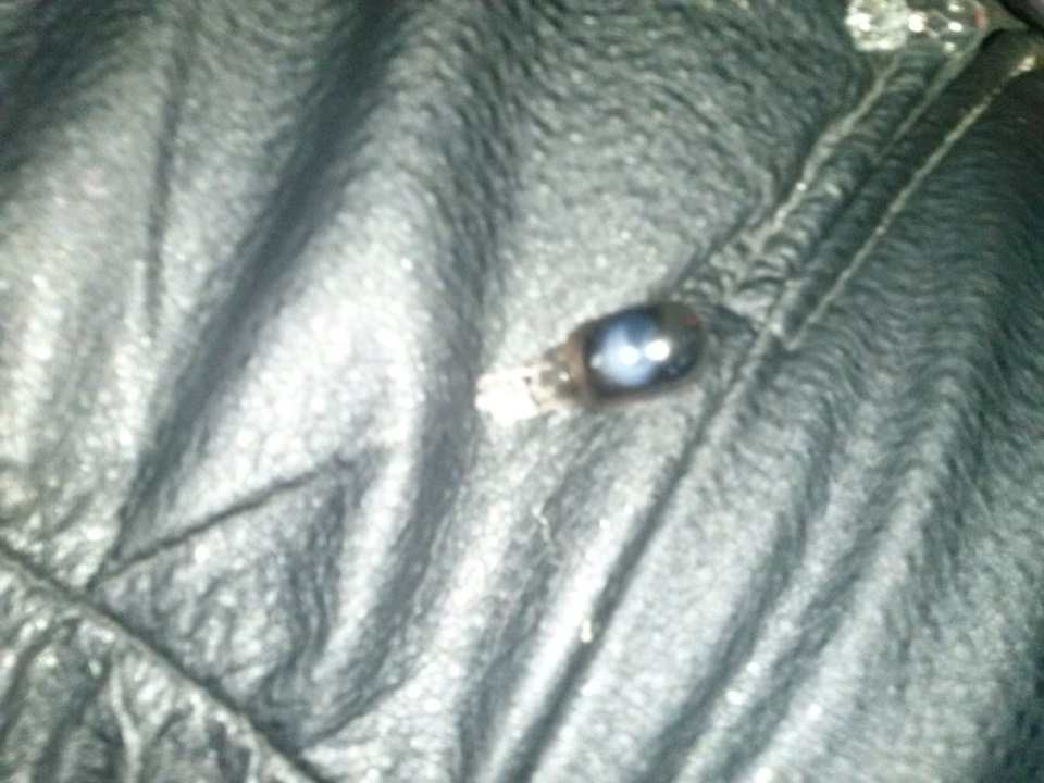 замена лампы стопа в салоне — Toyota Avensis II, 2 л, 2003 года ...