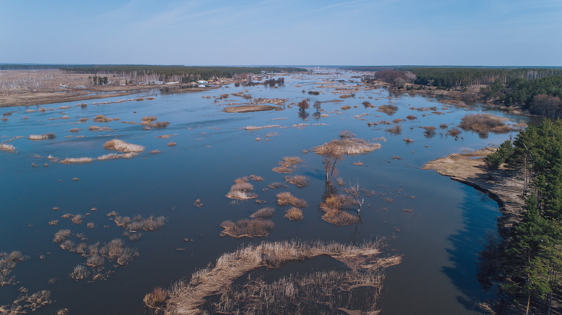 Разливы рек ее подобные морям. Река разлилась. Разлив волги. Разливы рек ее подобные морям средства. Разлив реки ук.