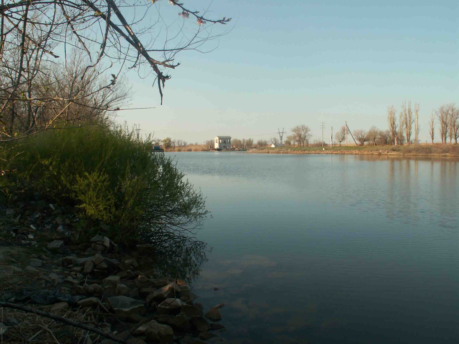 какая рыба водится в волгодонском канале. Смотреть фото какая рыба водится в волгодонском канале. Смотреть картинку какая рыба водится в волгодонском канале. Картинка про какая рыба водится в волгодонском канале. Фото какая рыба водится в волгодонском канале