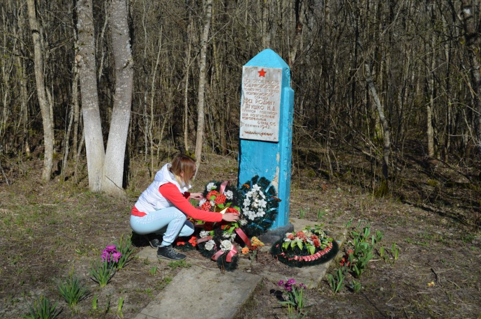 Фото в бортжурнале УАЗ Patriot