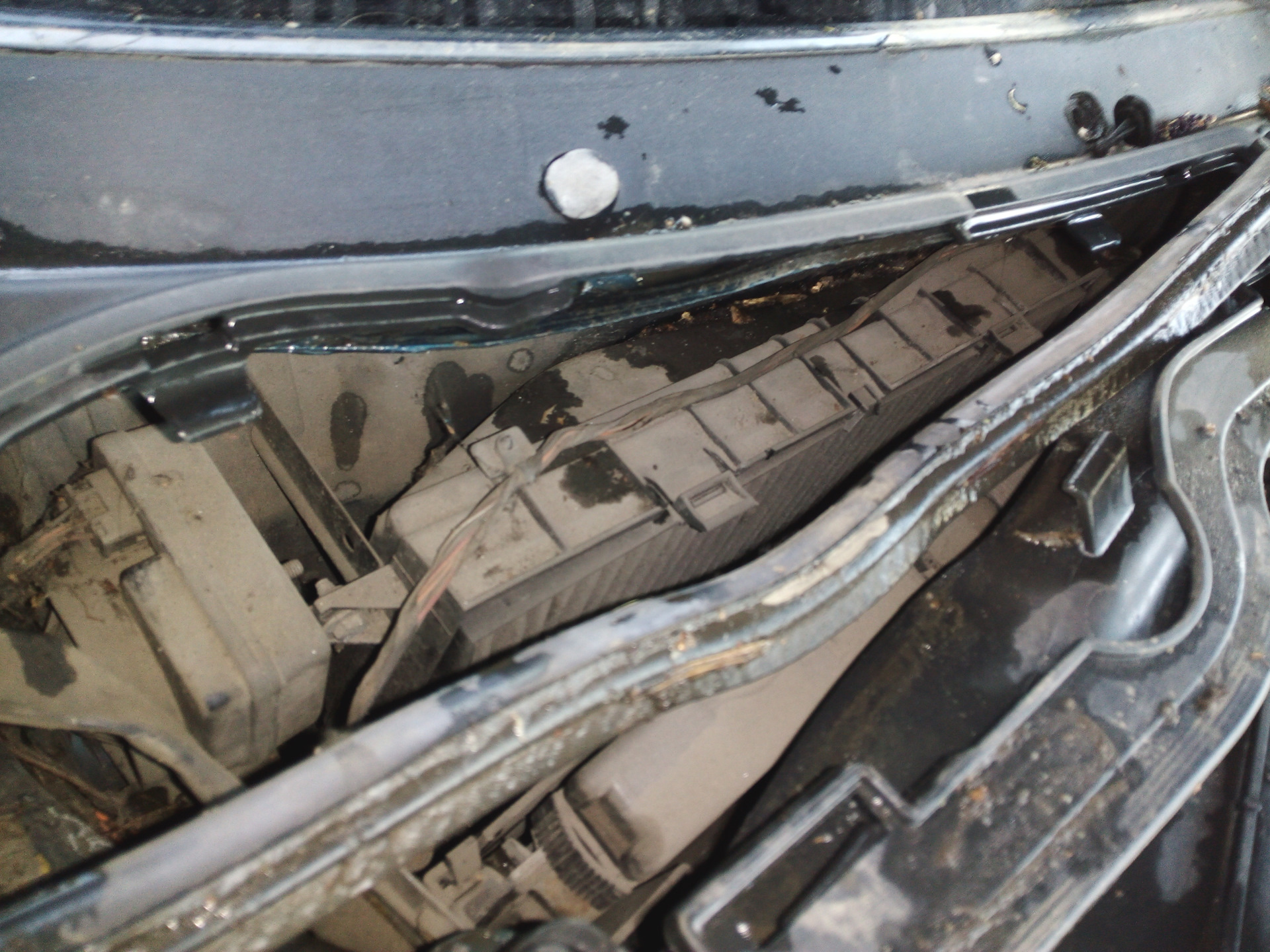 Ровер 75. Замена салонного фильтра - Rover 75, 2 л, 1999 года своими руками DRIV