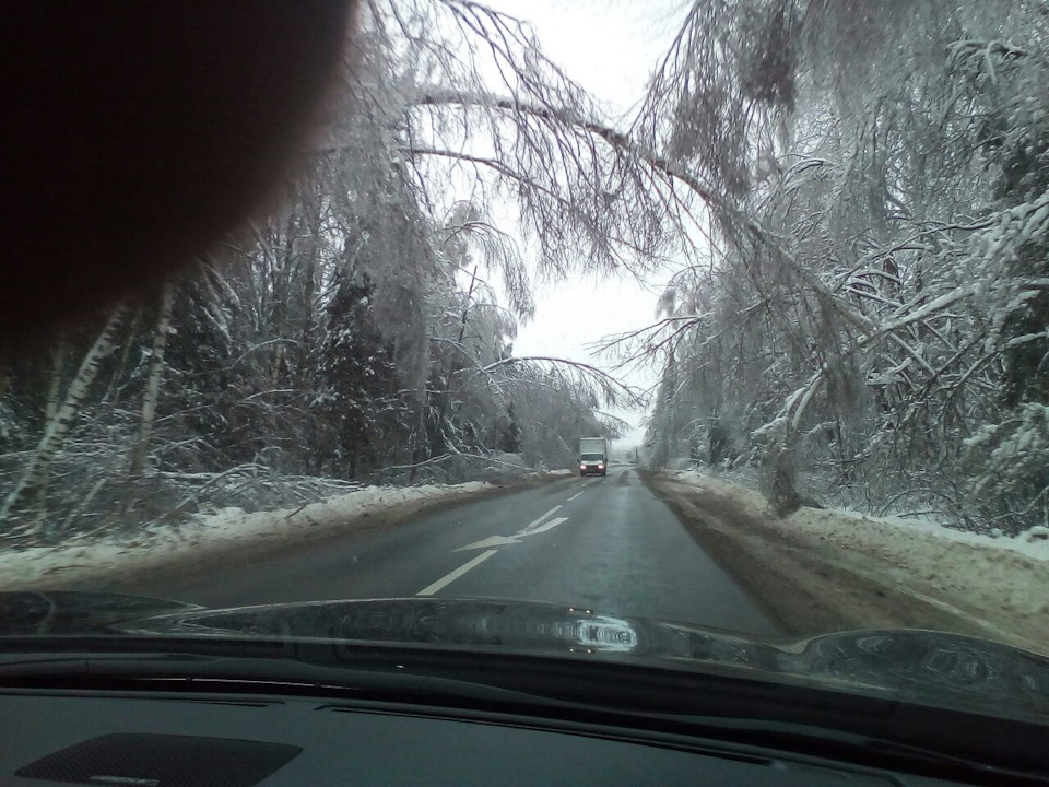 Ледяной дождь в Дмитровском районе подмосковья 2. Последствия при ...