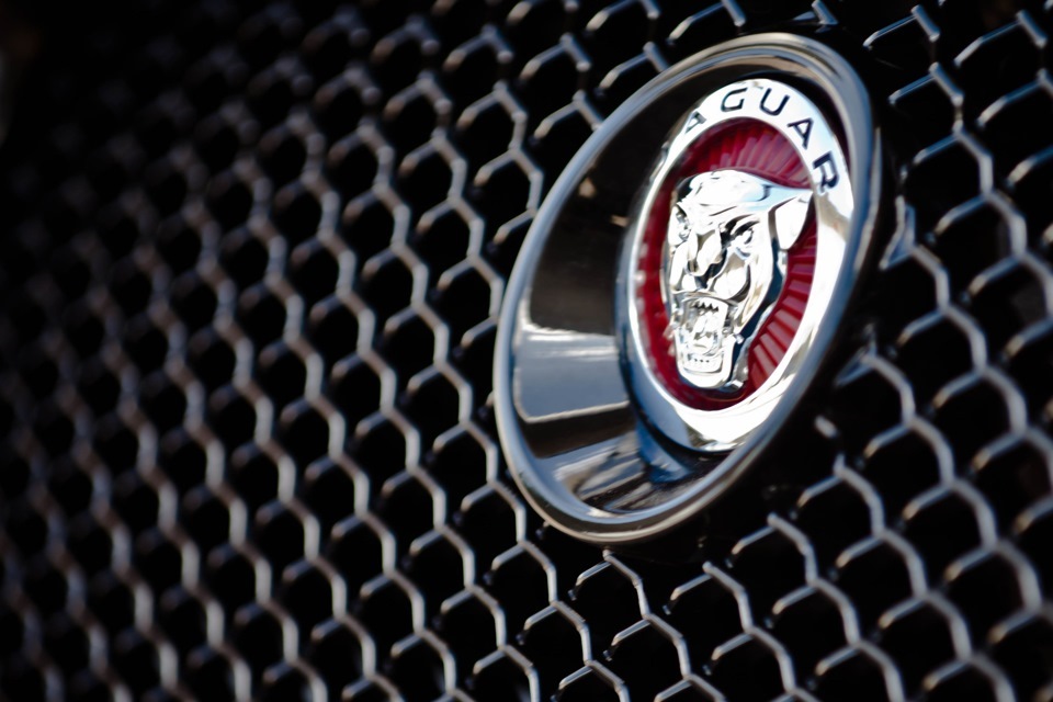 Red jaguar emblem  Jaguar XF 1G 3  2010     DRIVE2