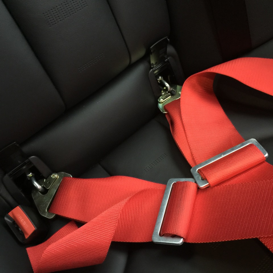 Seat Belt Bondage.