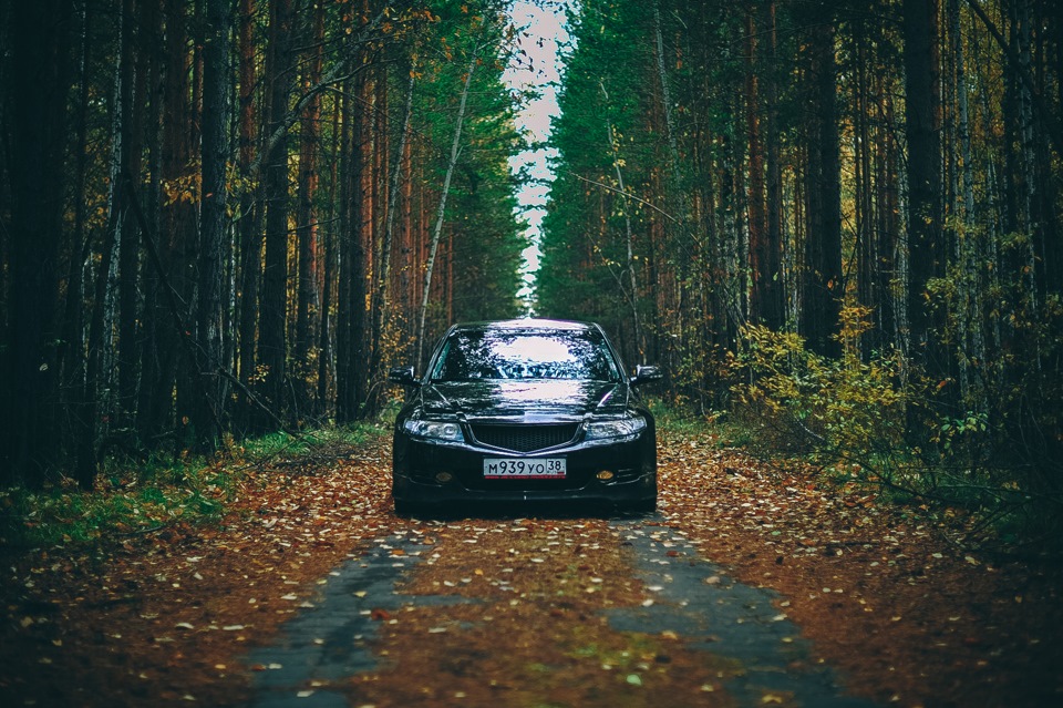 chocolate Осень 2015 — Honda Accord (7G), 2,4 л, 2007 года