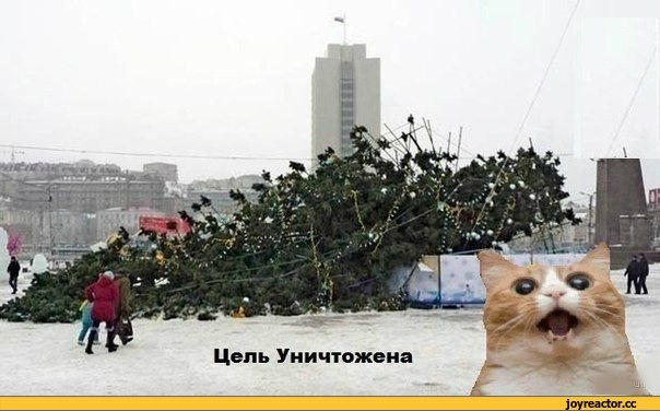 Кот с елкой мем