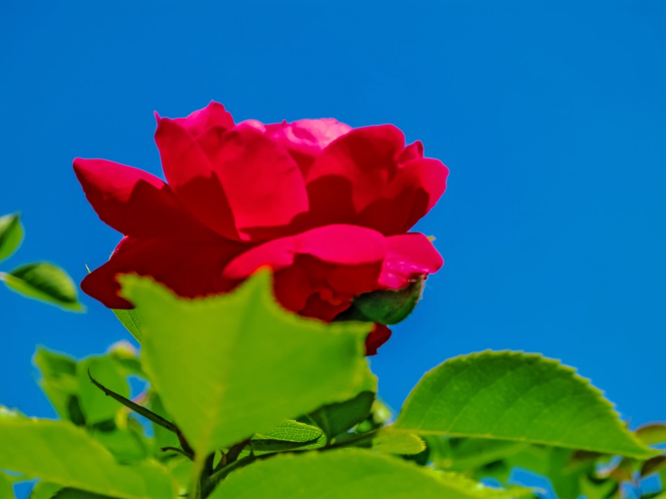 Тандыр. Испытания. — DRIVE2