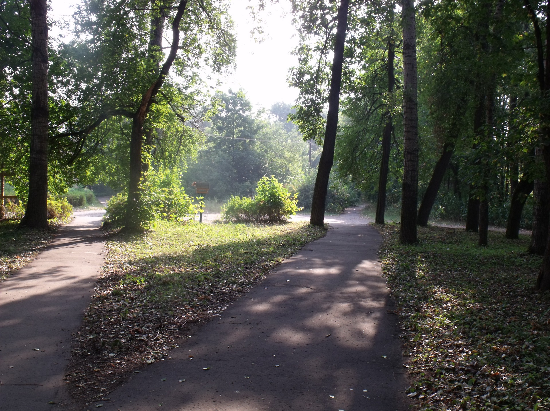 Фото голицыно парк