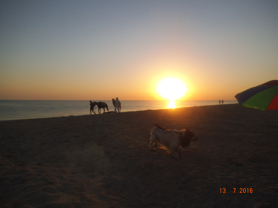 Фото в бортжурнале Subaru Legacy (BL/BP). Запчасти на фото: 1372016