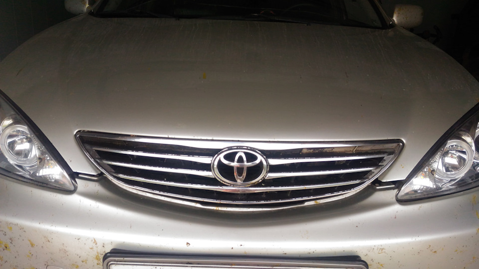 Облезла решетка радиатора — Toyota Camry (XV30), 3 л, 2003 года ...
