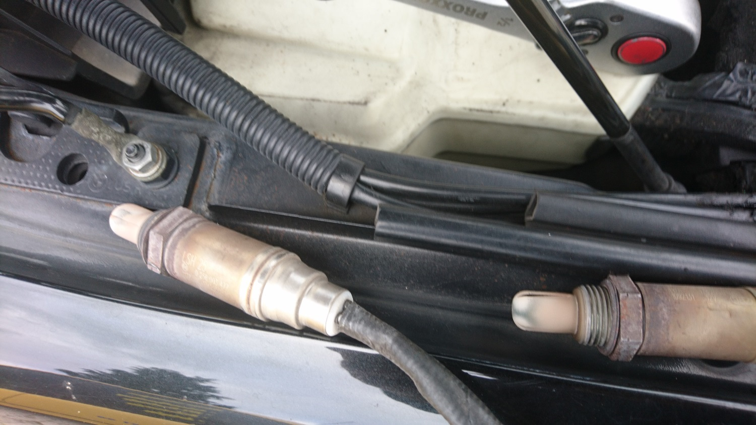 Сервис: Замена кислородных датчиков, воздушного фильтра и горф — BMW 5 ...