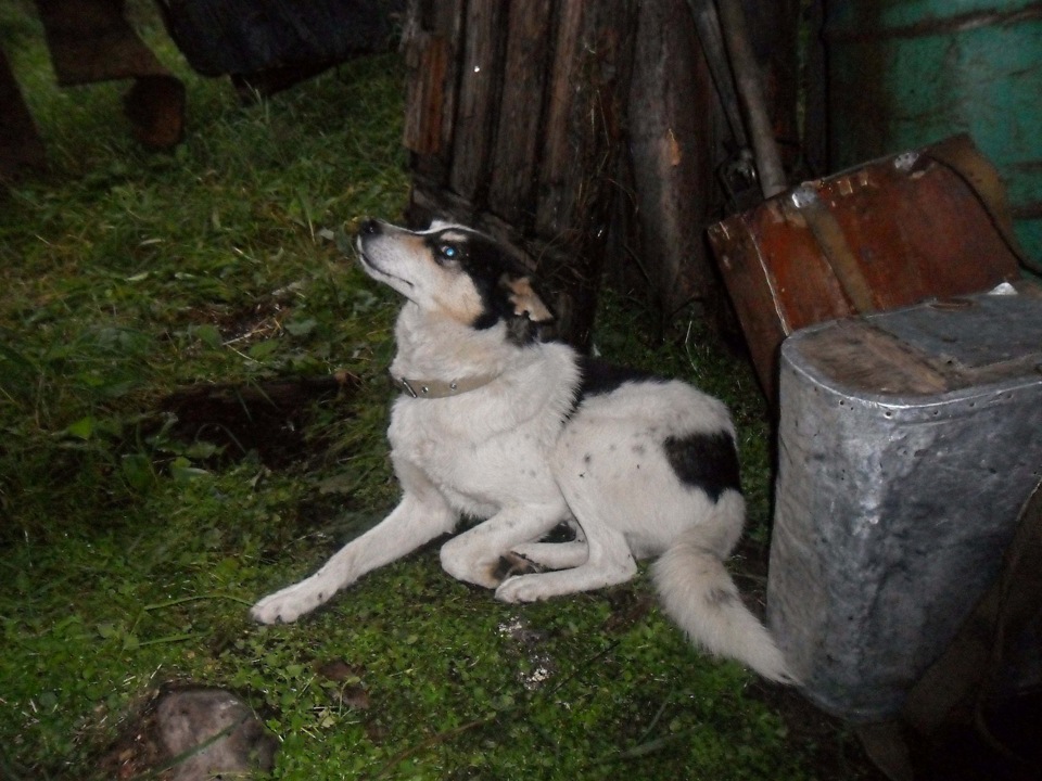 Поездка в избушку [ Часть 1 ] — DRIVE2