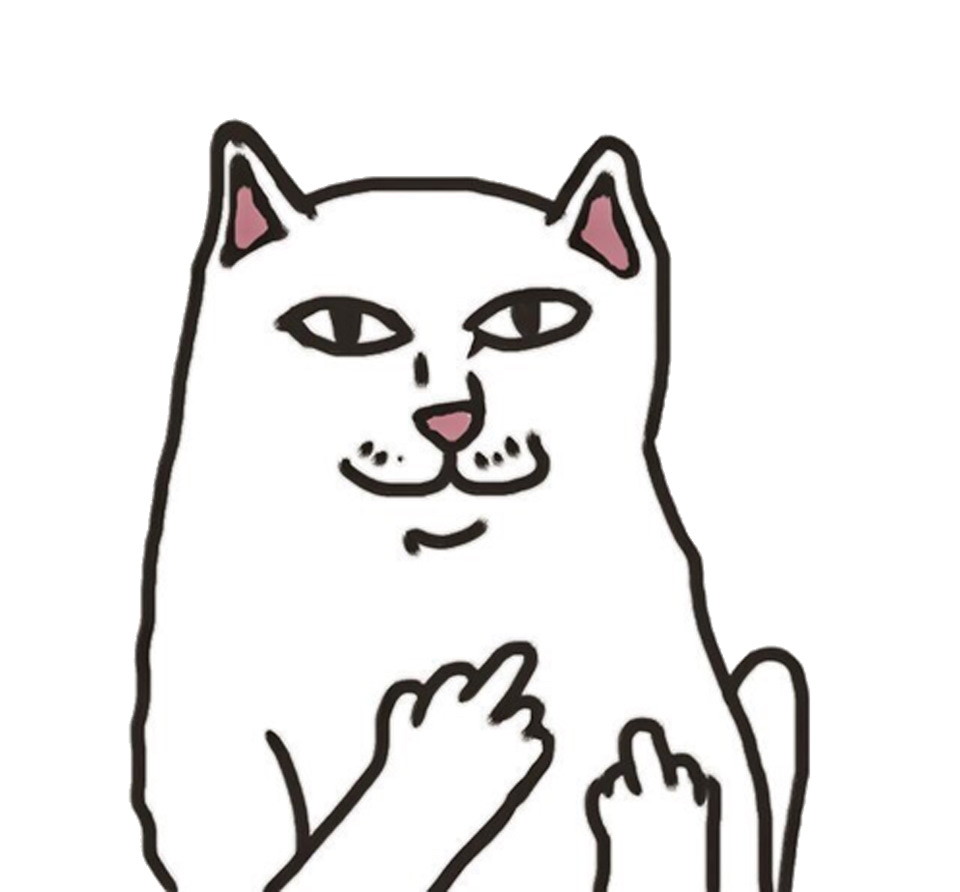 Мем картинка котик