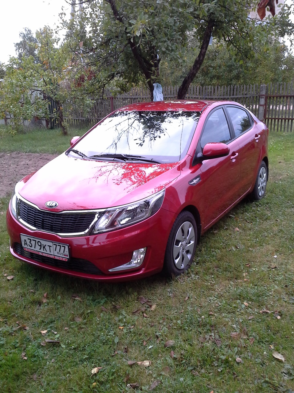 Kia Rio Red хамелеон