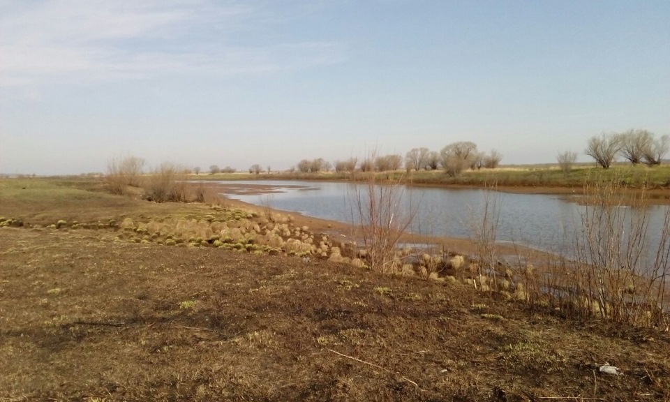 Фото в бортжурнале УАЗ 469