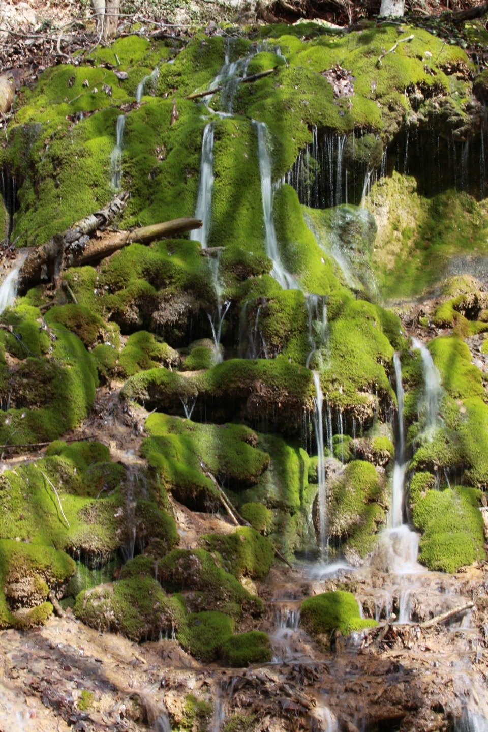 Прогулка вдоль речки Боса — УАЗ Patriot, 2,7 л, 2014 года | путешествие ...