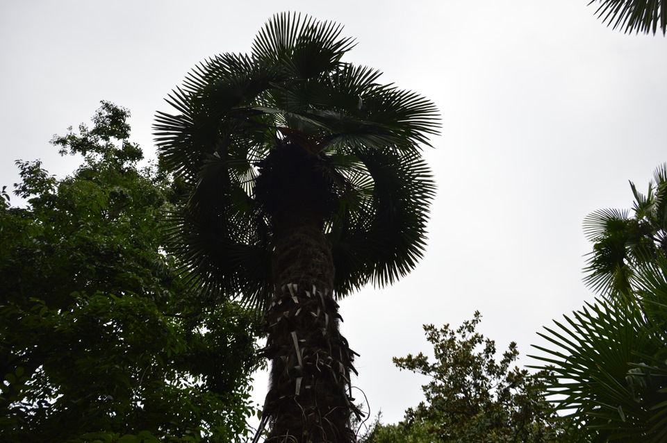 Фото в бортжурнале УАЗ Patriot